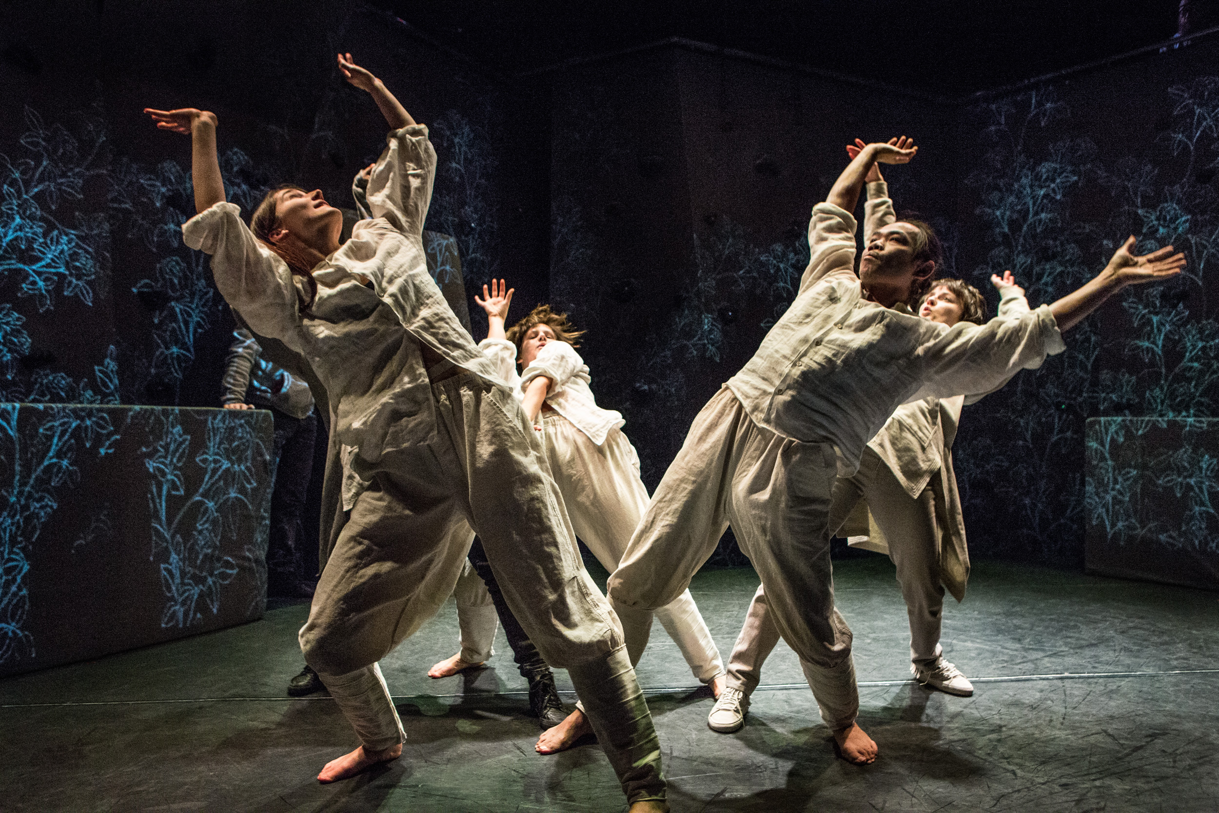 5-bet-win - Cassinos e iGaming no Brasil