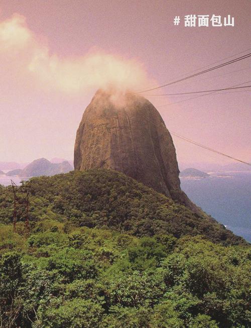 T22 - Tendências de apostas no Brasil