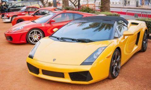 telefone-do-carlinhos-maia - Apostas no Brasil