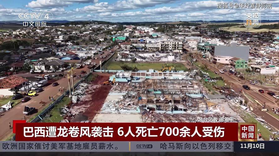 vaca-puxa-o-quê-no-jogo-do-bicho - Apostas no Brasil